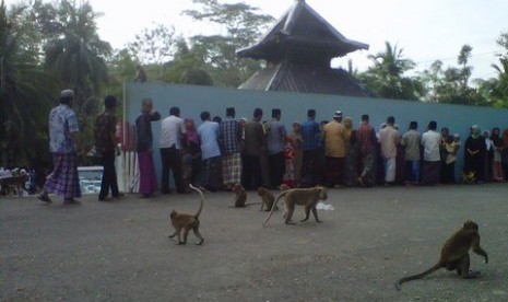 Ribuan penganut Islam Aboge (Alif Rebo Wage) di Kabupaten Banyumas, Jawa Tengah.