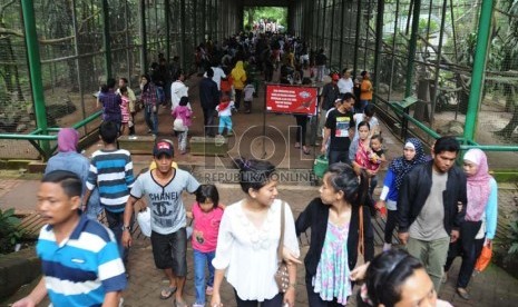  Ribuan wisatawan membanjiri lokasi wisata Kebun Binatang Ragunan, Jakarta, Selasa (25/12).  (Republika/Aditya Pradana Putra)