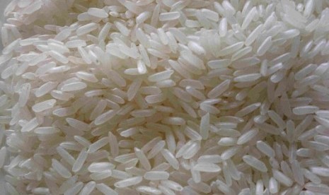 Rice (illustration)