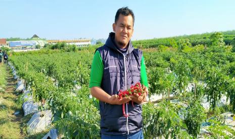 Rizki Hamdani, penggagas Kelompok Santri Tani Milenial di Ponpes Fathul Ulum, Kabupaten Jombang.