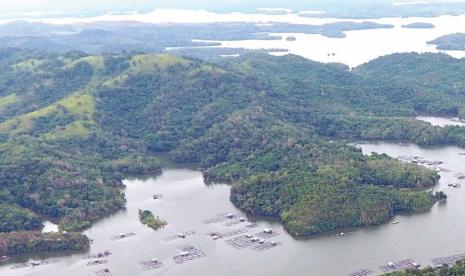 RLU menyisihkan sekitar 30 persen dari area kerja sebagai kawasan konservasi. 