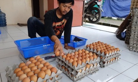 Pedagang telur asal Purwakarta, saat melayani pelanggannya, Jumat (1/2). Harga telur di Purwakarta mulai merangkak naik menjadi Rp 24 ribu per kilogram.