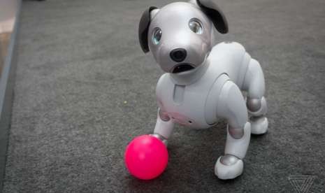 Robot anjing Aibo.