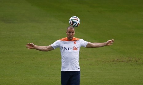 Ron Vlaar