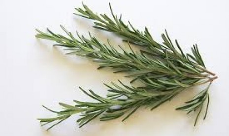 Rosemary