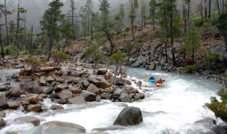 Rough & Ready and Baldface Creeks