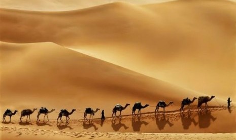 Rub al-Khali atau dikenal dengan Empty Quarter  di Semenanjung Arabia.(tripwow.tripadvisor.com)