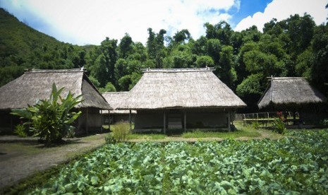 Rumah Adat Desa Beleq di Sembalun. Ilustrasi