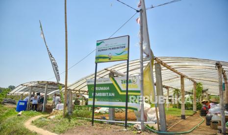 Rumah pembibitan pada Tawangargo Smart-Eco Farming Village (TAMENG) di di Desa Tawangargo, Kecamatan Karangploso, Kabupaten Malang, Jawa Timur.