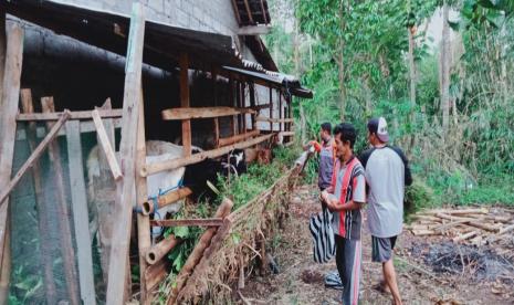 Rumah Zakat dorong penembangan usaha ternak kambing.