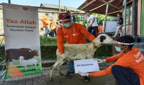 Rumah Zakat melalui salah satu lembaganya yaitu Mandiri Daya Insani (MDI) meluncurkan program Desaku Berkurban 