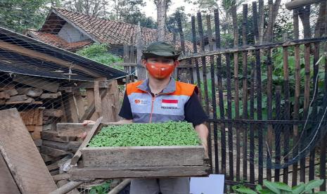  Rumah Zakat memberikan bantuan berupa benih sayuran yang terdiri dari kangkung, bayam, pakchoy, sawi, cabai rawit, dan terung, selain itu ada juga pupuk organik dan polybag.