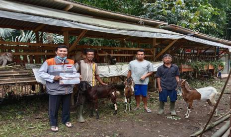 Rumah Zakat memberikan bantuan berupa kambing indukan agar cepat berkembang biak. 