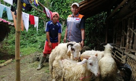 Rumah Zakat memberikan bantuan domba untuk warga Sukabumi. 