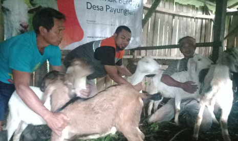 Rumah Zakat memberikan bantuan kambing untuk warga Desa Berdaya di Ciamis.