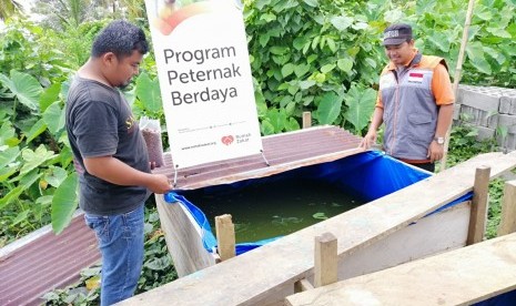 Rumah Zakat memberikan bantuan kepada peternak lele.