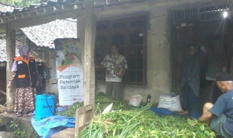 Rumah Zakat mengadakan pletihan pakan ternak domba untuk kelompok ternak Al-Barokah, Jumat, (29/3).