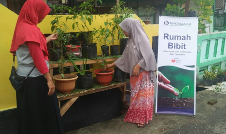  Rumah Zakat mengembangkan rumah bibit di Desa Jorok, Kec. Unter Iwes, Kab. Sumbawa.