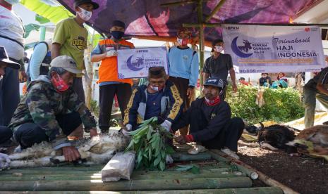 Rumah Zakat menyalurkan hewan kurban ke daerah terpencil dan terdampak bencana.