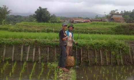 Rumah Zakat (RZ) bersama dengan Masyarakat Ternak Nusantara (MTN) menyalurkan 260 ekor atau 10 kg ikan mas untuk 2 orang peternak di Desa Mekarmukti, Kecamatan Cilawu, Kabupaten Garut.