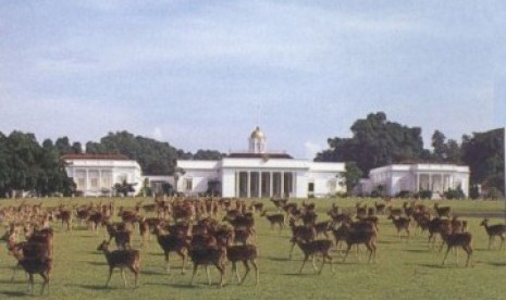 Rusa-rusa di Istana Bogor