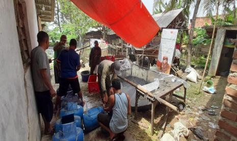 Salah satu anggota Badan Usaha Milik Masyarakat (BUMMas) IKHTIAR melangsungkan kegiatan panen ikan lele pada Sabtu (23/1). Lele yang dipanen adalah lele yang berusia tanam 60 hari atau 2 bulan.