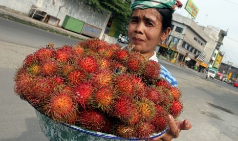 Salah satu buah khas Sumut adalah rambutan binjai.