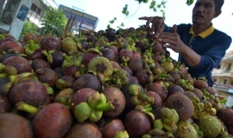 Salah satu hasil pertanian lokal, yaitu buah manggis yang baru dipanen.