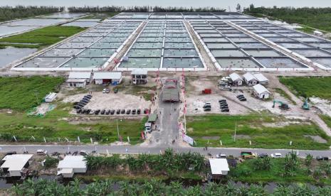 Salah satu inovasi dan gagasan Gubernur Kalimantan Tengah H Sugianto Sabran dalam mengangkat taraf hidup masyarakat pesisir yang bekerja pada sektor kelautan dan perikanan yakni dengan membangun Kawasan tambak udang Vaname (Shrimp estate) di Kabupaten Sukamara.