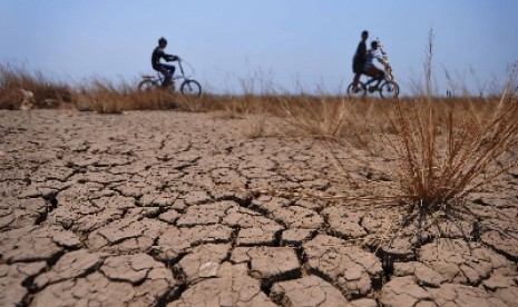 Salah satu kawasan yang dilanda kekeringan (ilustrasi). Kepala Badan Meteorologi, Klimatologi, dan Geofisika (BMKG) Dwikorita Karnawati mengatakan kekeringan adalah dampak nyata perubahan iklim yang terjadi secara global tidak hanya di negara-negara maju saja melainkan juga negara-negara berkembang.