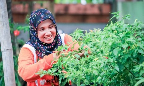 Salah satu kegiatan di Kampung Sayur Pohsarang, Kediri.