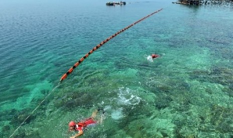 Salah satu keindahan lokasi wisata di Pulau Derawan, Kabupaten Berau.