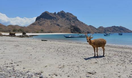 Salah satu pemandangan di Labuan Bajo.