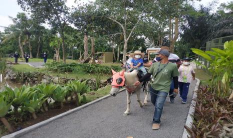 Salah satu pemandangan di Obelix Village, Yogyakarta.