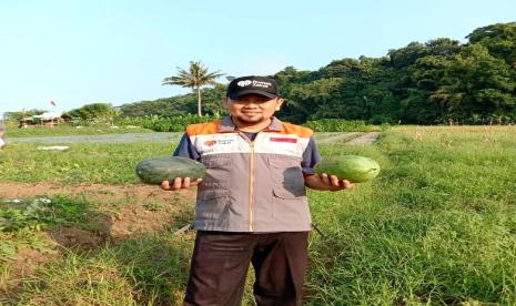 Salah satu petani binaan Rumah Zakat yaitu Odin yang tinggal di Desa Berdaya Cidadap Sukabumi, berhasil panen semangka sebanyak 1,7 kwintal.  Walaupun bukan hasil terbaik yang diinginkan, Odin tetap bersyukur bisa panen dengan memanfaatkan bantuan ekonomi dari Rumah Zakat. Terutama di tengah wabah yang sedang terjadi.