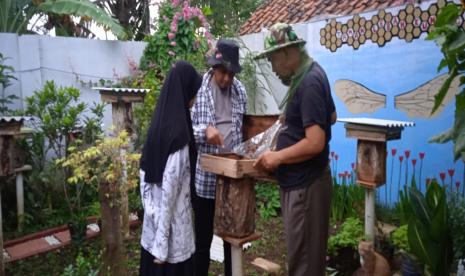 Salah satu Petani Milenial yang dinilai berhasil Amar Thohir (39), pemuda dari Desa Bojong, Kecamatan Kramatmulya, Kabupaten Kuningan yang membudidayakan madu di halaman berukuran 4×6 meter.