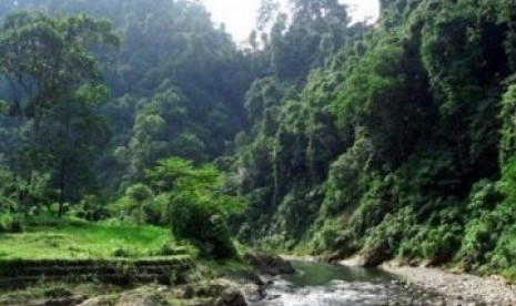 Salah satu sudut Taman Nasional Gunung Leuser, di Provinsi Sumatera Utara.