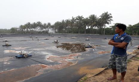 Salah satu usaha budi daya tambak udang di Kecamatan Lemong,  Kabupaten Pesisir Barat, Lampung.