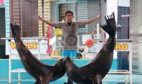 Salah satu wahana di Jatim Park, Batu, berupa pertunjukan singa laut asal Argentina.