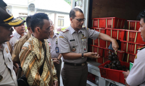 Salak Deli Serdang merambah pasar ekspor.