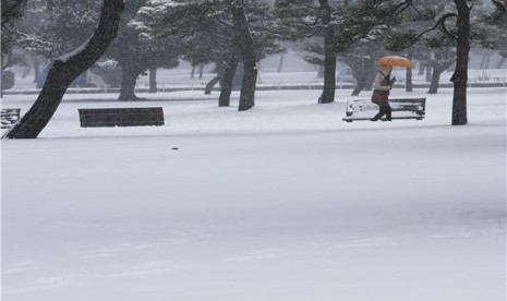 Salju menutupi taman dekat Istana Kekaisaran, Tokyo, Sabtu (8/2).