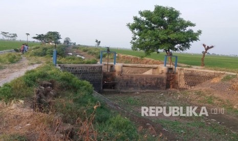 Saluran irigasi di Kecamatan Kandanghaur, Kabupaten Indramayu kering kerontang karena kurang mendapat pasokan air dari Bendung Rentang, Kabupaten Majalengka. (Dok)