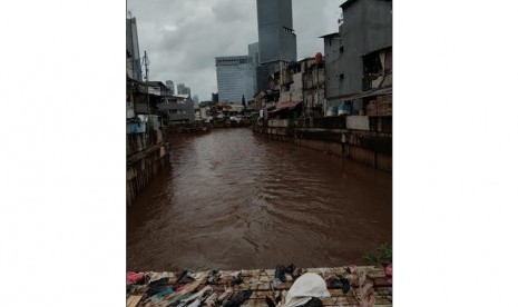 Sampah sisa banjir Kali Krukut.