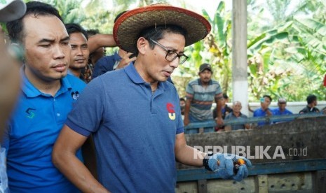 Calon Wakil Presiden Nomor Urut 02 Sandiaga Uno Sandiaga Salahuddin  Uno  saat bertemu dengan petani kelapa sawit di Ram Sawit Harahap, Jalan  Lintas Sumatra, Sebangar, Mandau, Kabupaten Bengkalis, Selasa (5/3/2019).