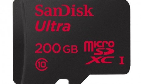 Sandisk Ulta 200 GB