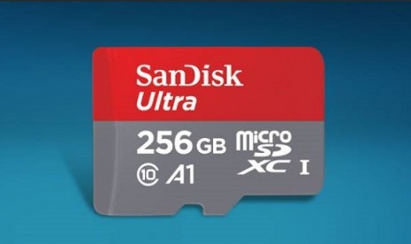 SanDisk Ultra microSDXCTM UHS-I.