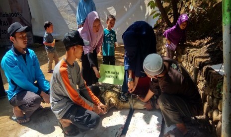  Santri SMP-SMA Ar-Rohmah Putri Pesantren Hidayatullah Malang mencoba melakukan sembelih hewan kurban sendiri