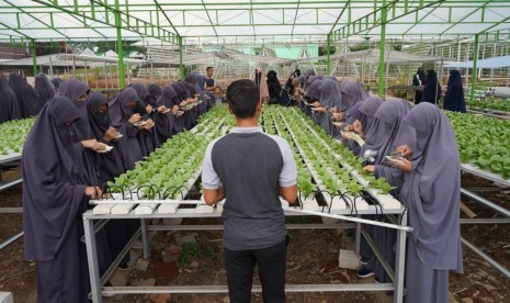 Santriwati Al-Mar'atus Sholihah Islamic Boarding School menyaksikan kebun hidroponik BMH di Depok.