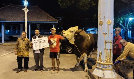 Sapi kurban milik presiden Jokowi seberat 1,08 ton tiba di masjid agung Solo, Ahad (16/6/2024). 