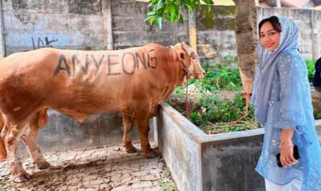 Sapi kurban milik Zita Anjani